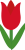 tulip